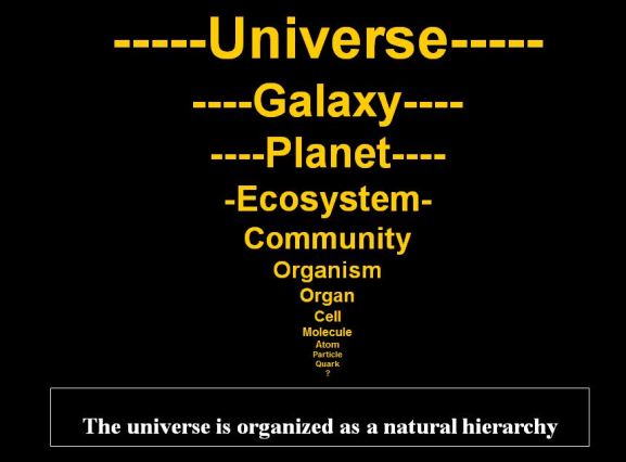 hierarchy
