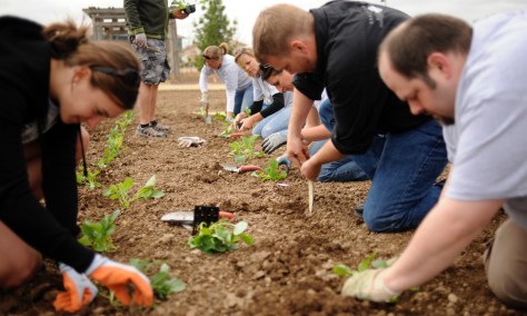 GARDENS30-- Volunteers work on getting the Victory Garden, in Fort Collins, ready for this summer.Fort Collins is one of several communities developing Depression and World War II-era "Victory Gardens," where people can grow their own food in these tough